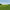 paint — vk-250802
