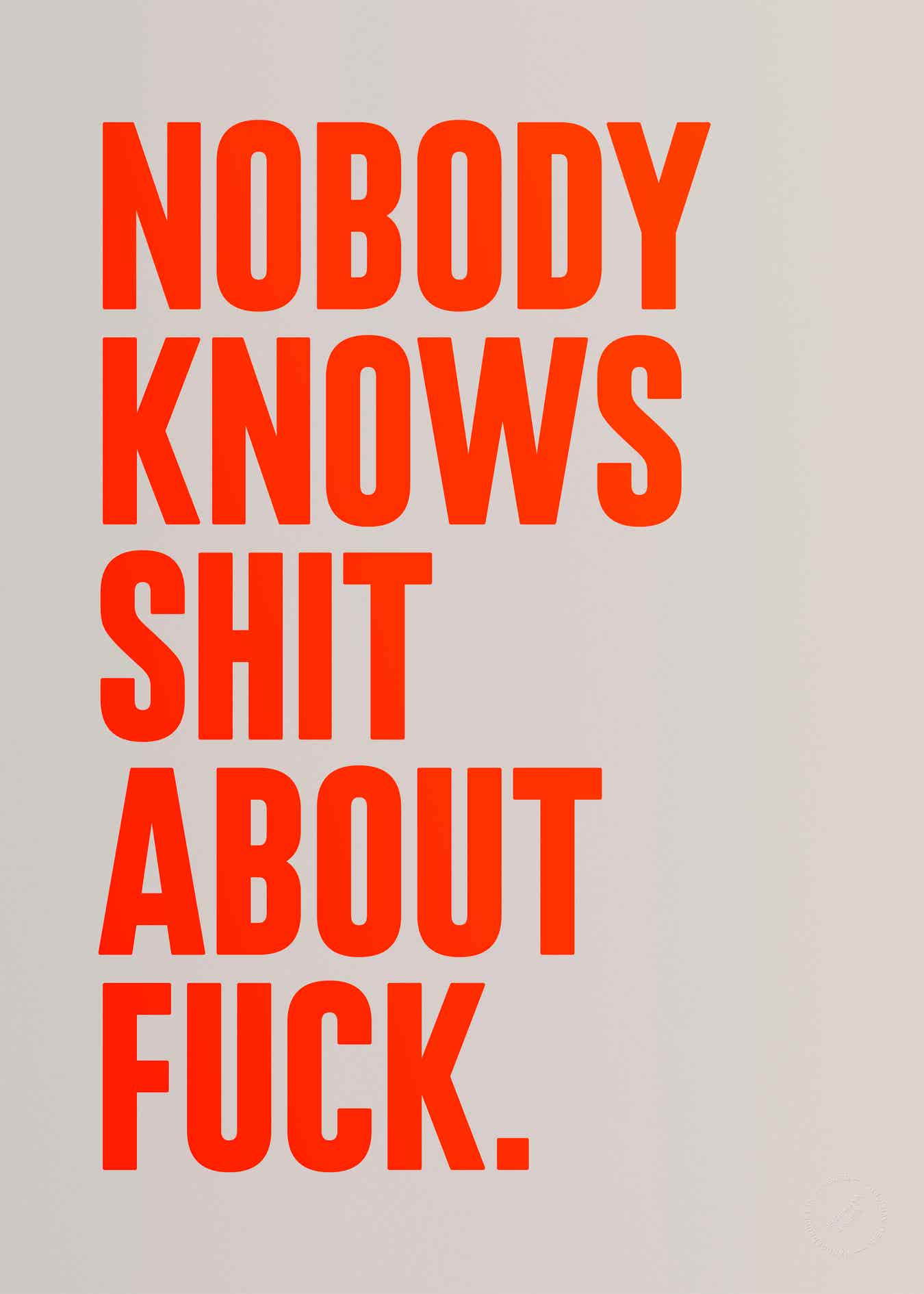Nobody knows shit about fuck (Neon)