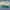 paint — vk-250718