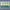 paint — vk-250718