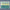paint — vk-250718