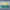 paint — vk-250718