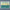 paint — vk-250718