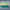 paint — vk-250718