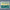 paint — vk-250718