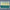 paint — vk-250718