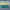 paint — vk-250718