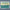 paint — vk-250718