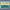 paint — vk-250718