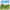 paint — vk-250802