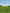 paint — vk-250802