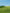 paint — vk-250802