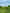 paint — vk-250802