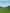 paint — vk-250802