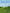 paint — vk-250802