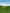 paint — vk-250802