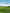 paint — vk-250802