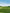 paint — vk-250802