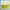 paint — vk-241105