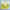 paint — vk-241105