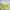 paint — vk-241105
