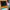 Color-Memories (plrd)