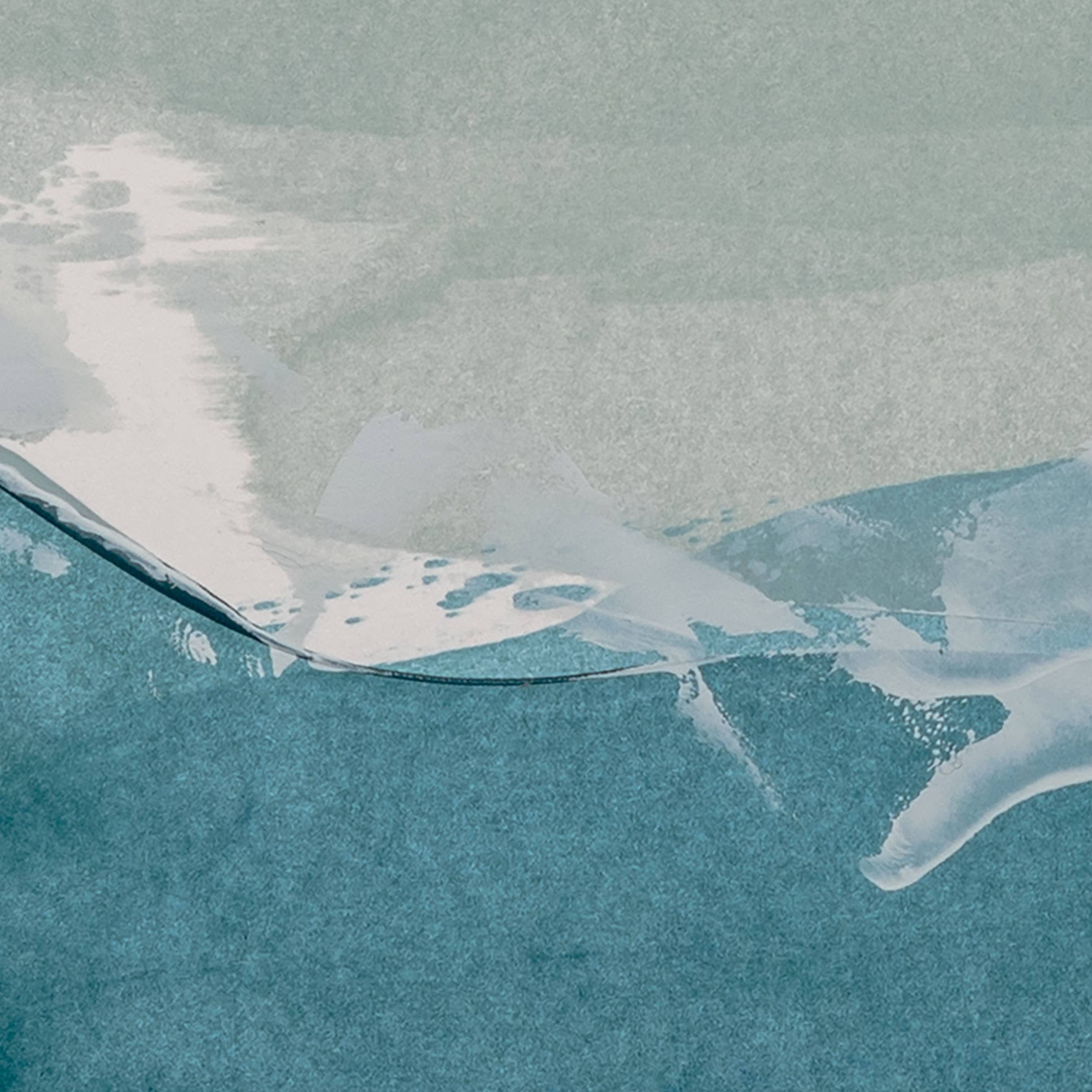 paint — vk-241010