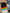 Color-Memories (plrd)