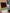 Color-Memories (plrd)