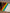 Color-Memories (plrd)