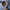 Solid Stories, 2305b