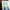 Solid Stories, 2504a