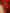 Everything (Neon)