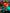 Fear/less (Neon)