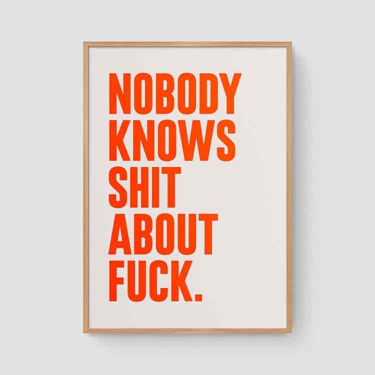 Nobody knows shit about fuck (Neon)