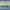 paint — vk-250718