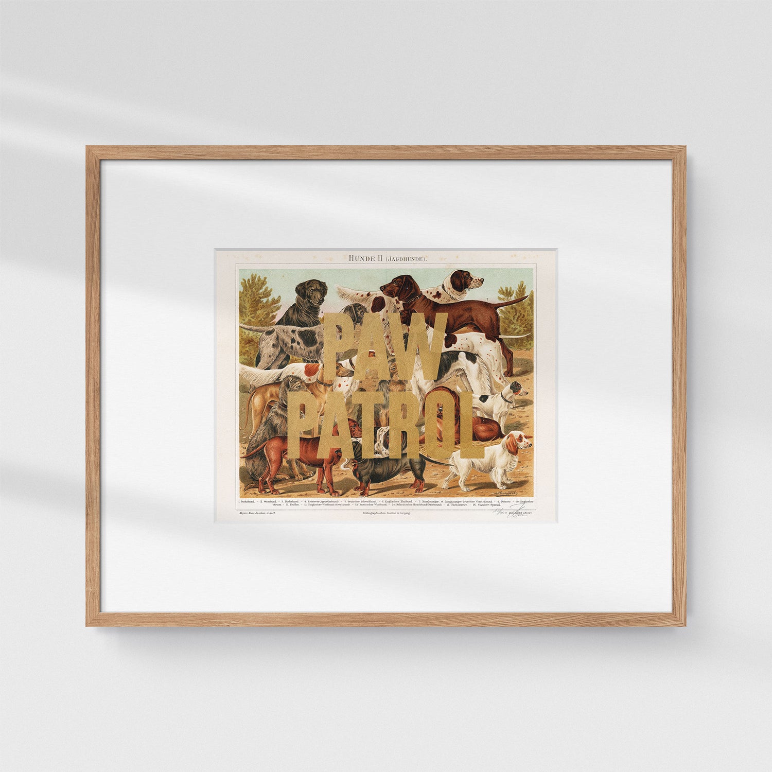 Witty Words! Paw Patrol