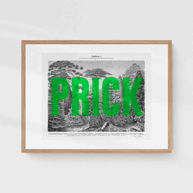 Prick/ly