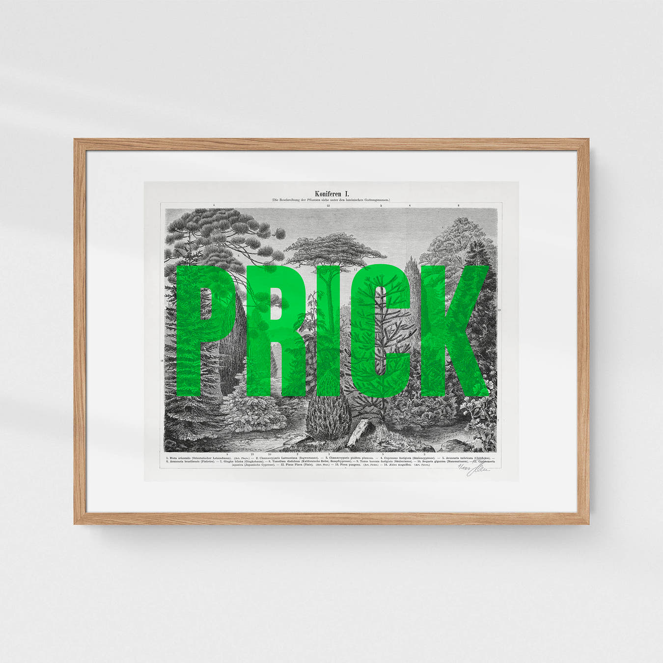 Prick/ly