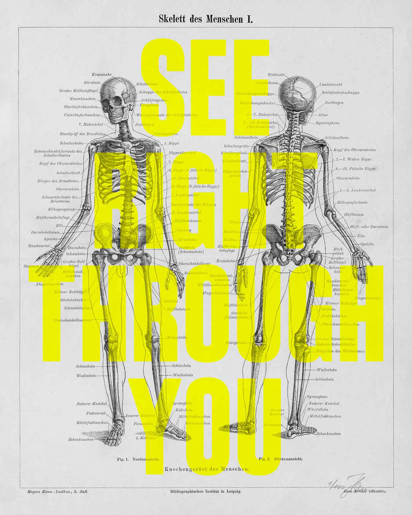 Witty Words! See Right Through You