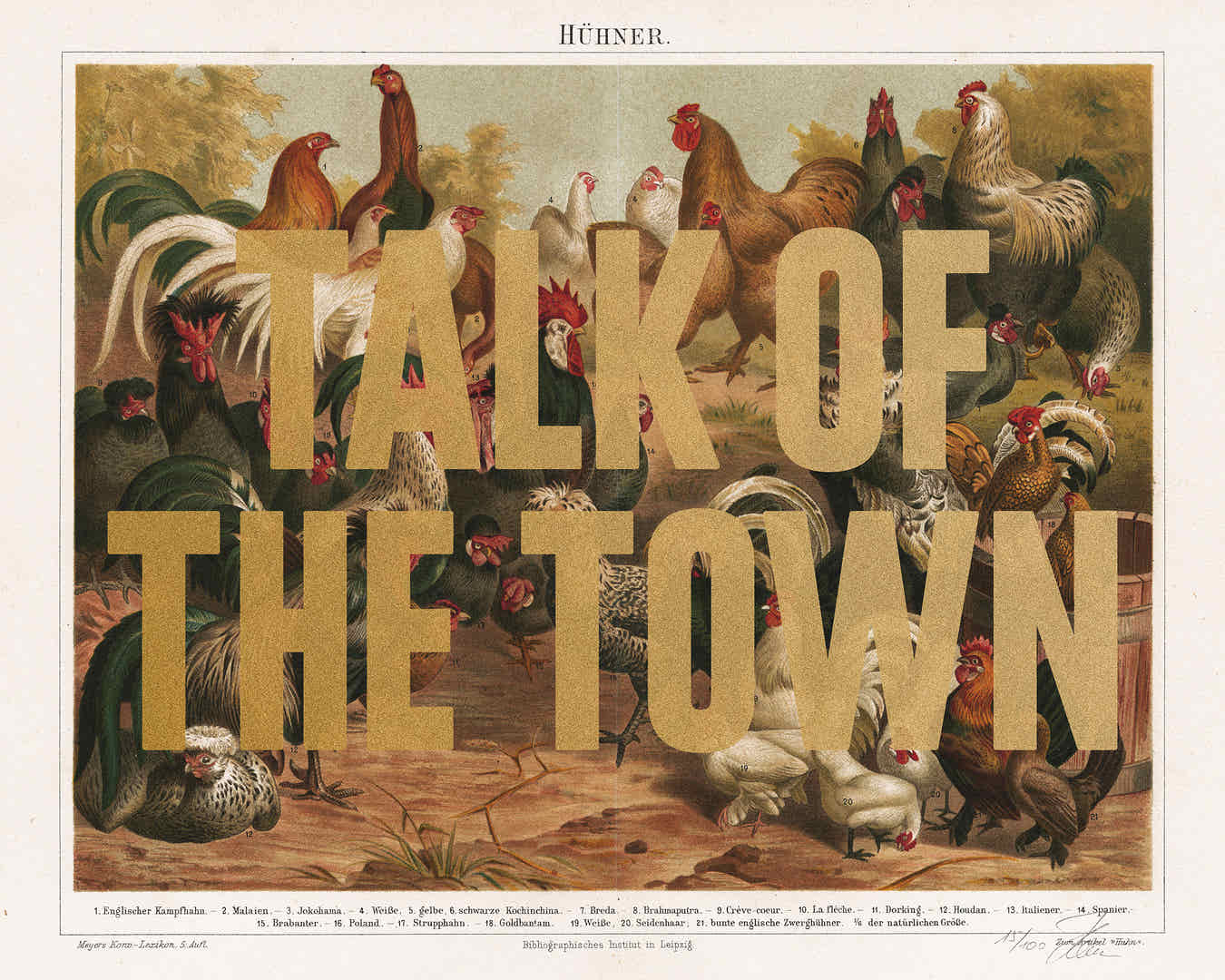 Witty Words! Talk of the town