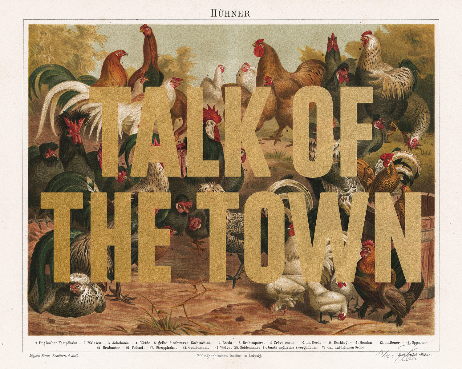 Witty Words! Talk of the town